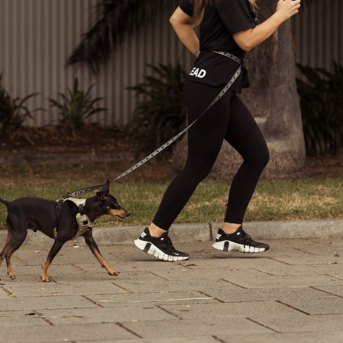 FY Active Hands Free Hundeleine