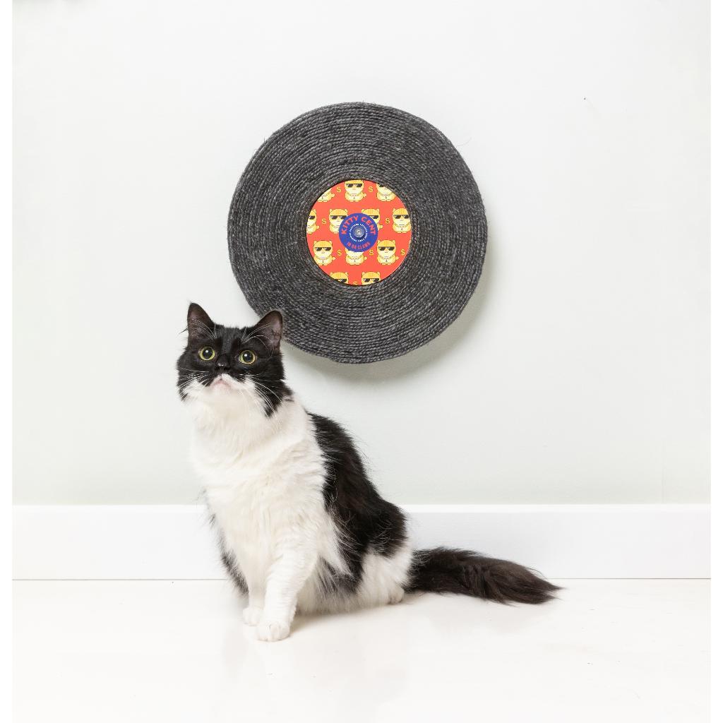 Record Cat Kitty Cent Scratching Post – FuzzYard Europe