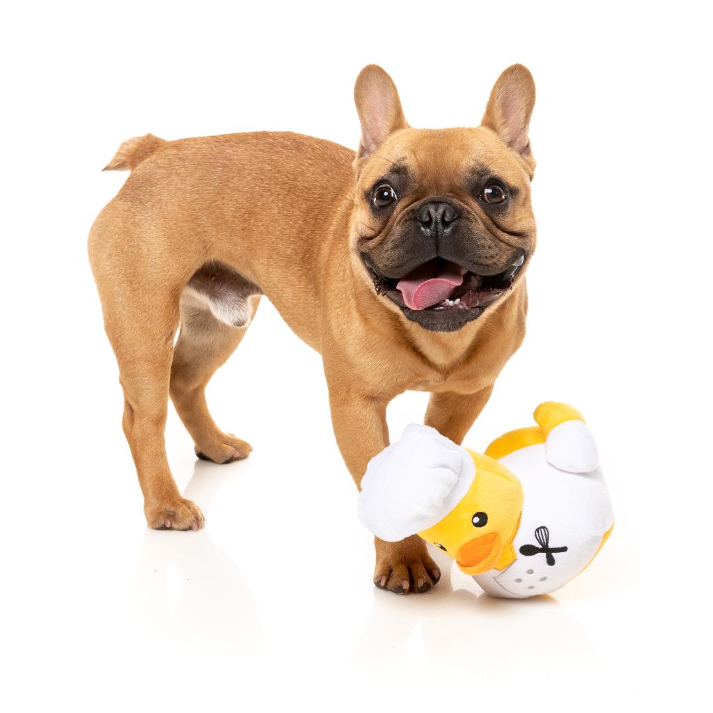 Quackson Five Dog Toy - Gordon Quacksay