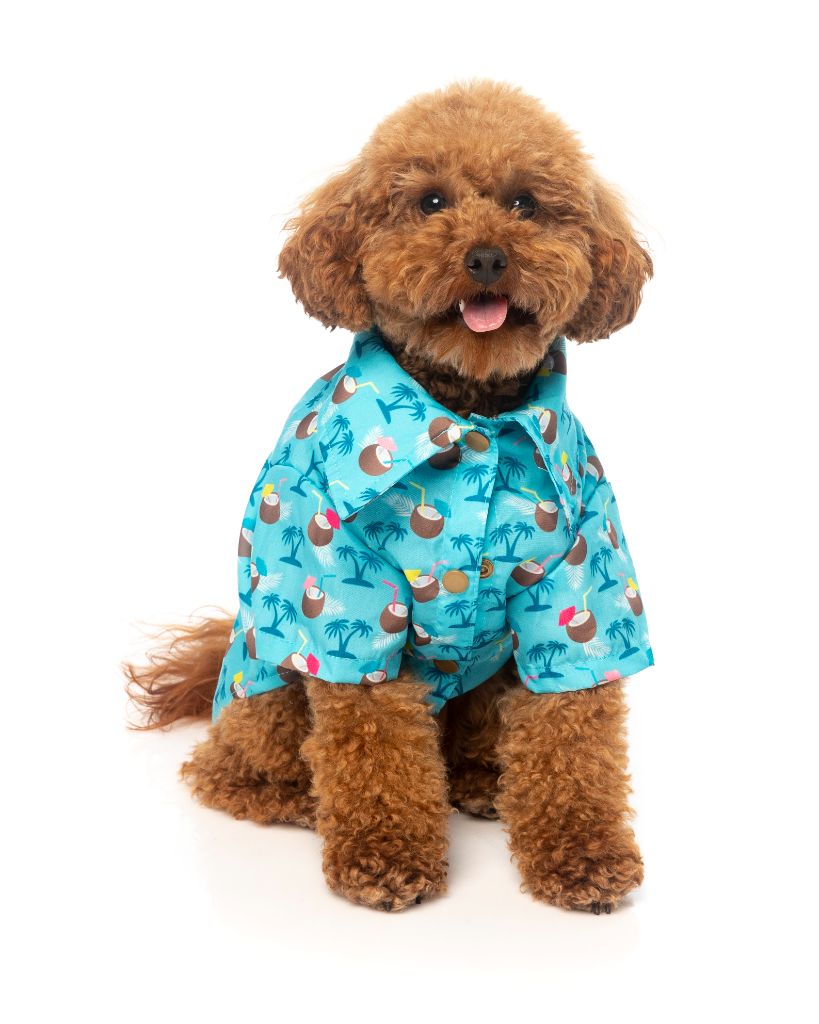 Dog Shirt Blue Oasis