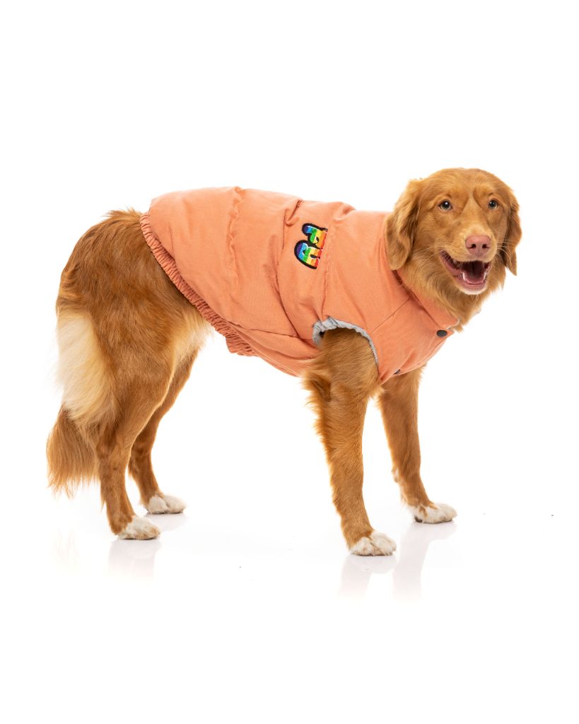 Dog Jacket - Ashbury
