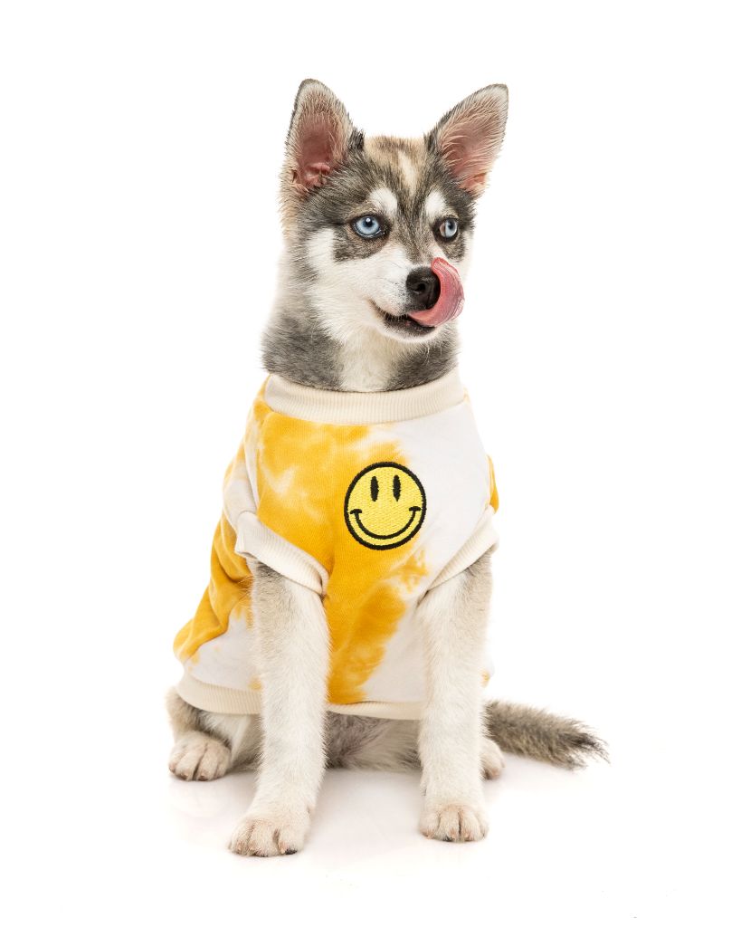 Dog Sweater - Smiley Tie-Rus
