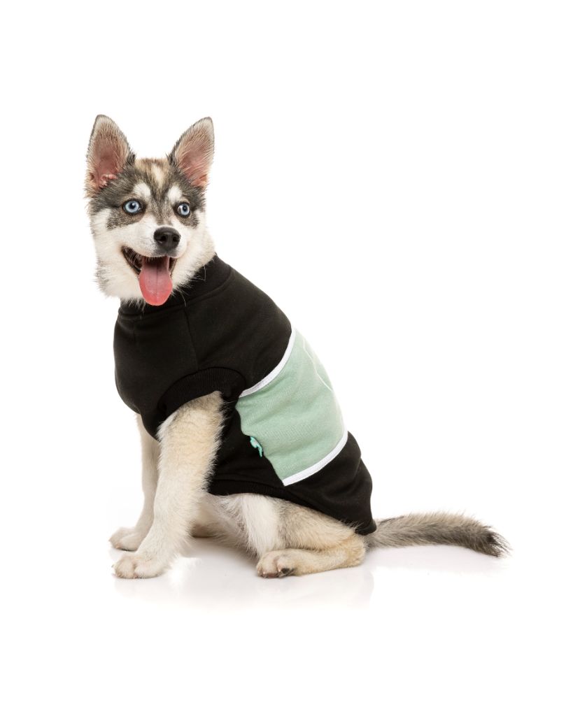 Dog Sweater - FY Track
