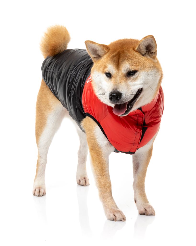 Dog Jacket - Harlem Puffer
