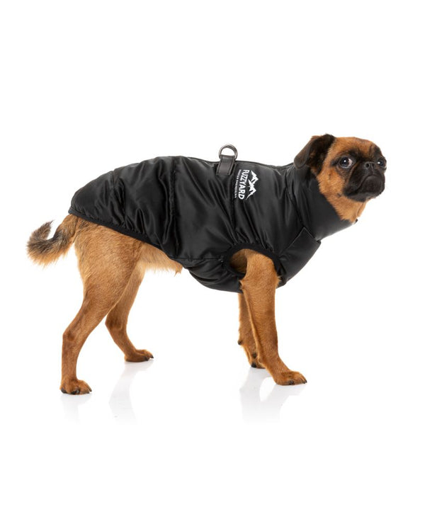 Dog Jacket - Harlem Puffer
