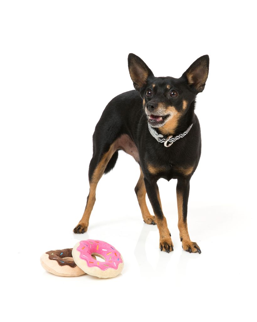 hundespielzeug donut Plüschtier Donuts 2 pro Packung