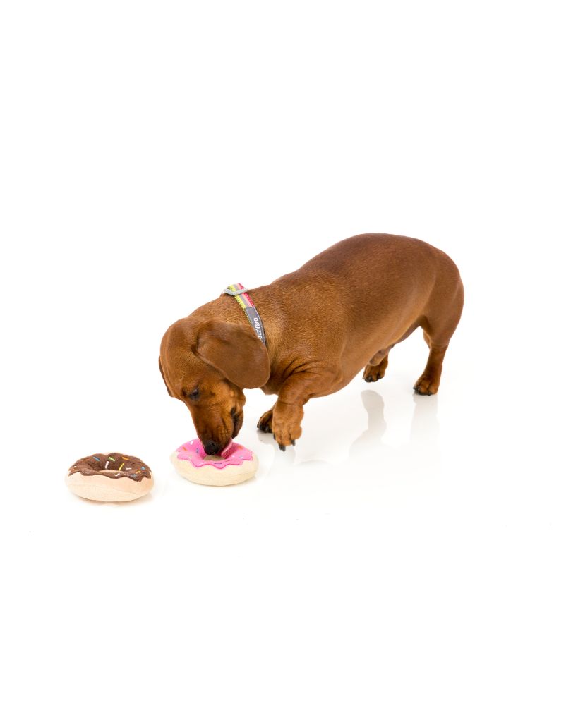 hundespielzeug donut Plüschtier Donuts 2 pro Packung