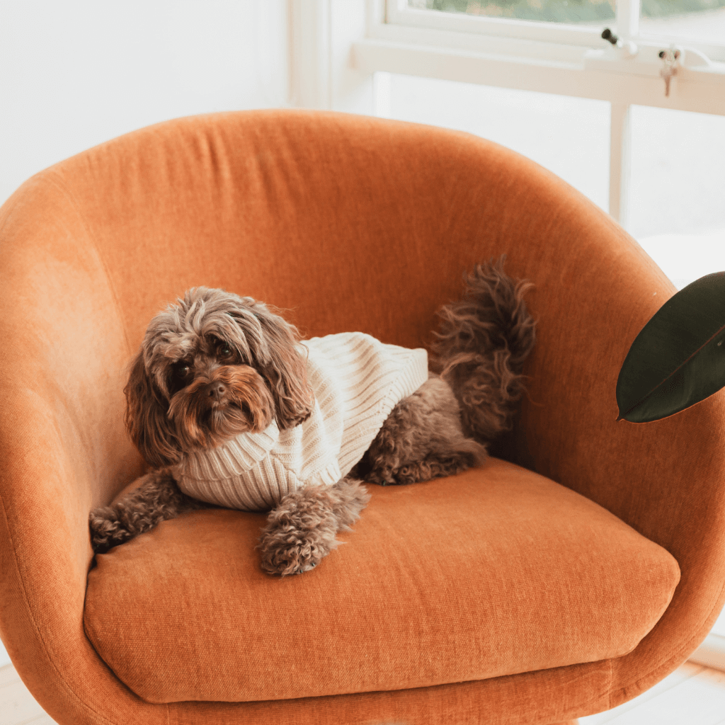 Sandstein - FuzzYard Life Pullover gestrickt