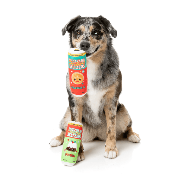 FuzzYard Xmas Toy - Christmas Seltzers 2PK