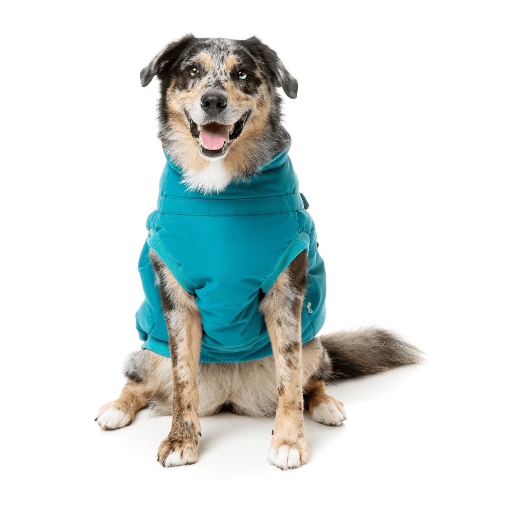 FuzzYard Jacke - Flash - Dunkles Teal