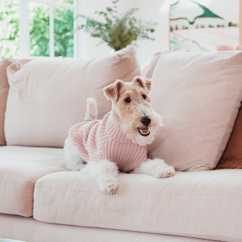 FuzzYard Life Knitted Sweater - Soft Blush