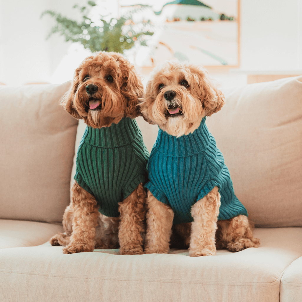 FuzzYard Life Knitted Sweater - French Blue