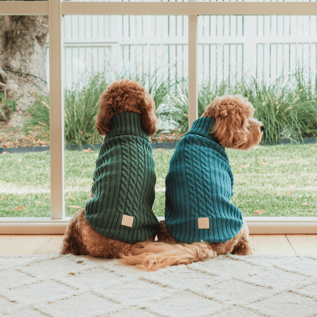 Französisch Blau - FuzzYard Life Strickpullover