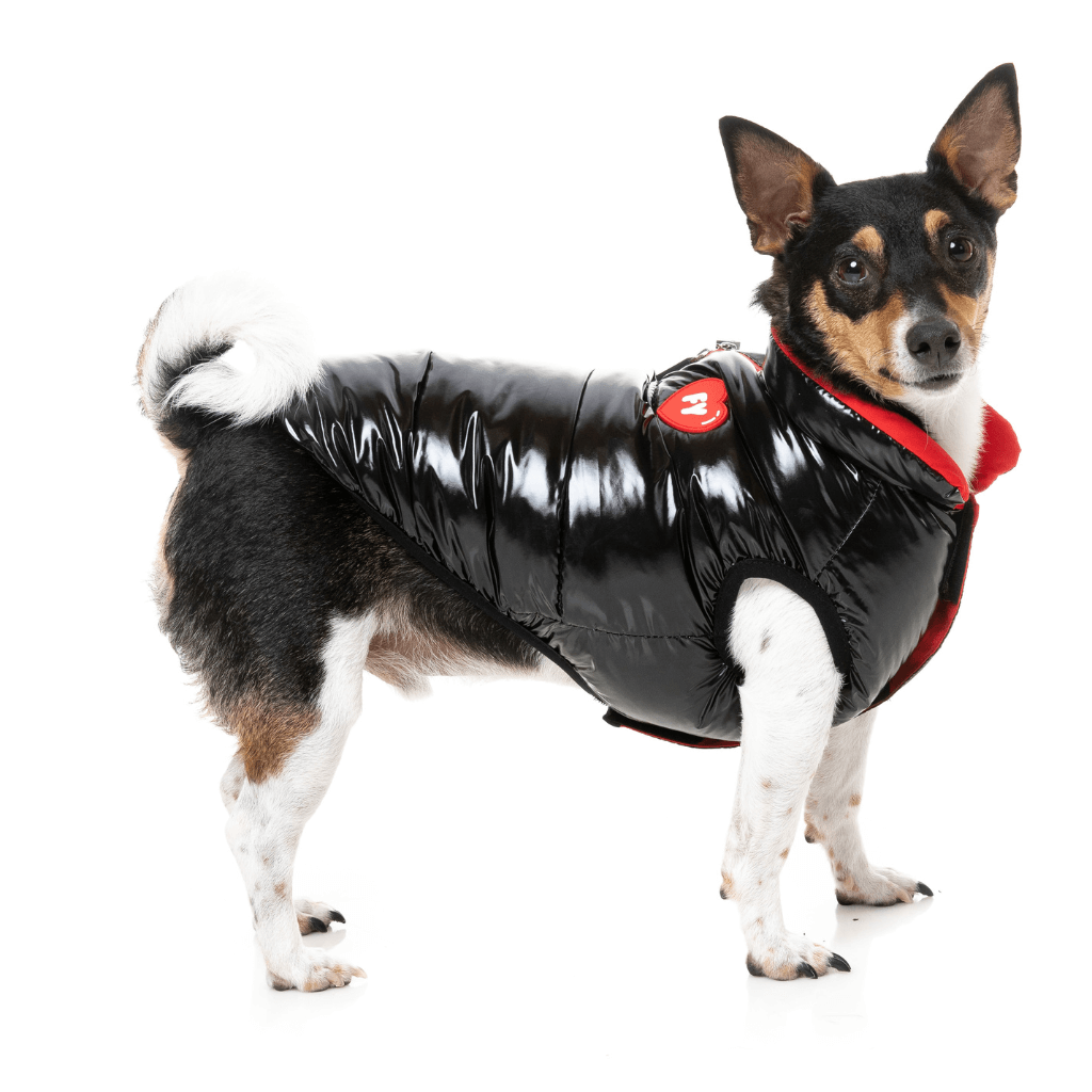 FuzzYard Jacke - Love Puffer - Schwarz