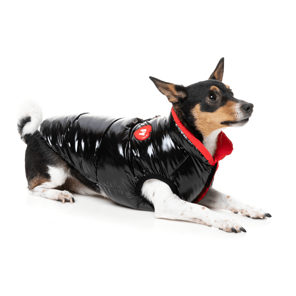 FuzzYard Jacke - Love Puffer - Schwarz