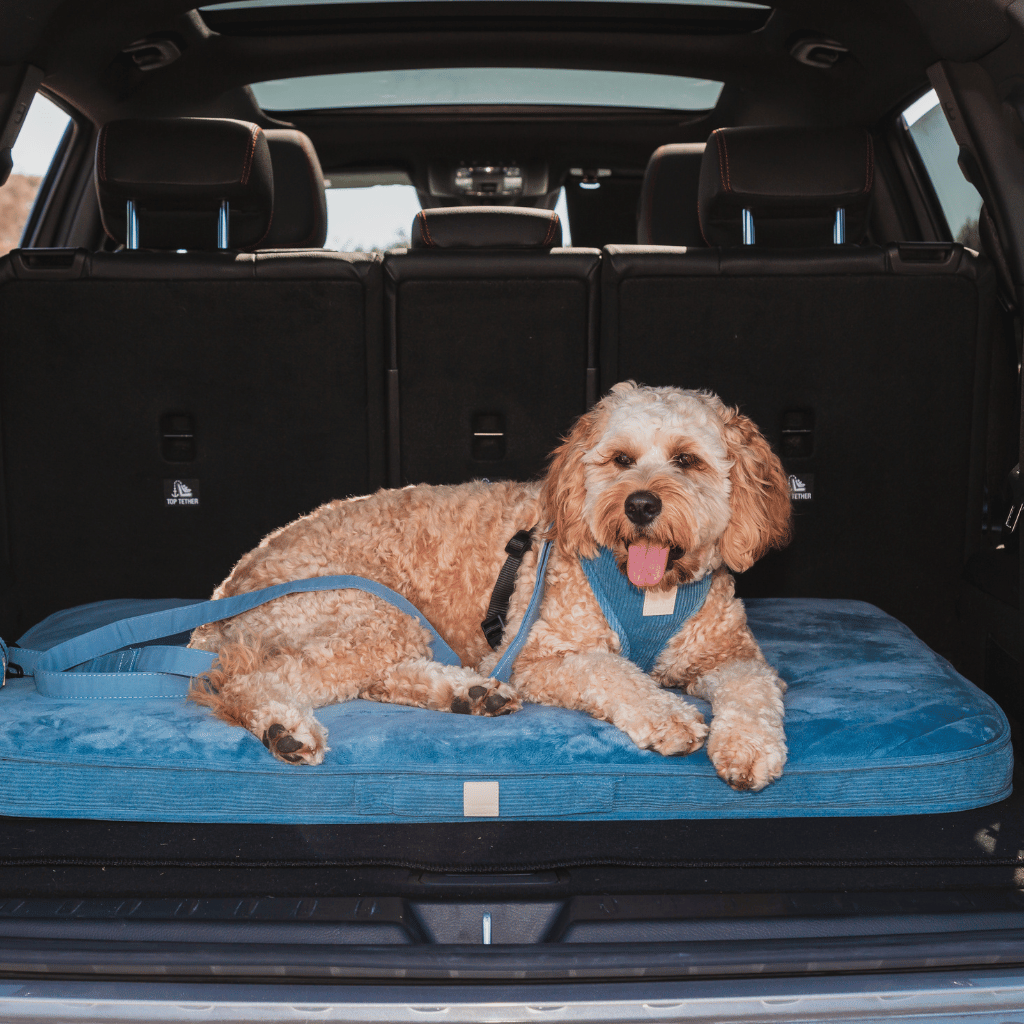 FuzzYard Life Lounge Mat - French Blue