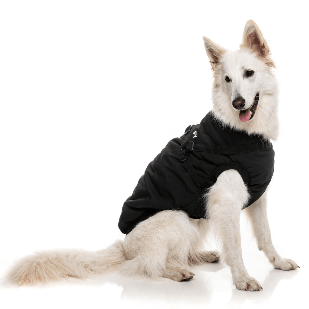 FuzzYard Jacke - Flash - Schwarz