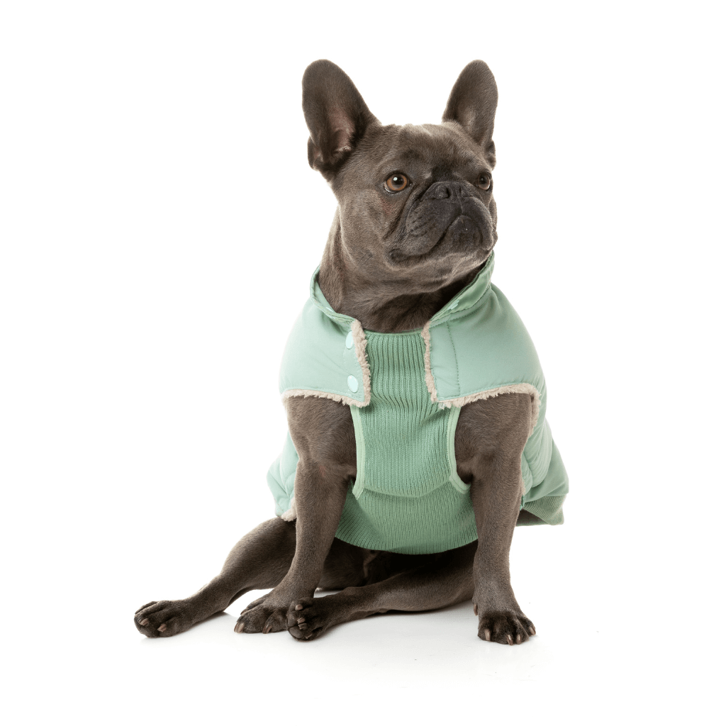 FuzzYard Jacke - Essential Puffer - Mint