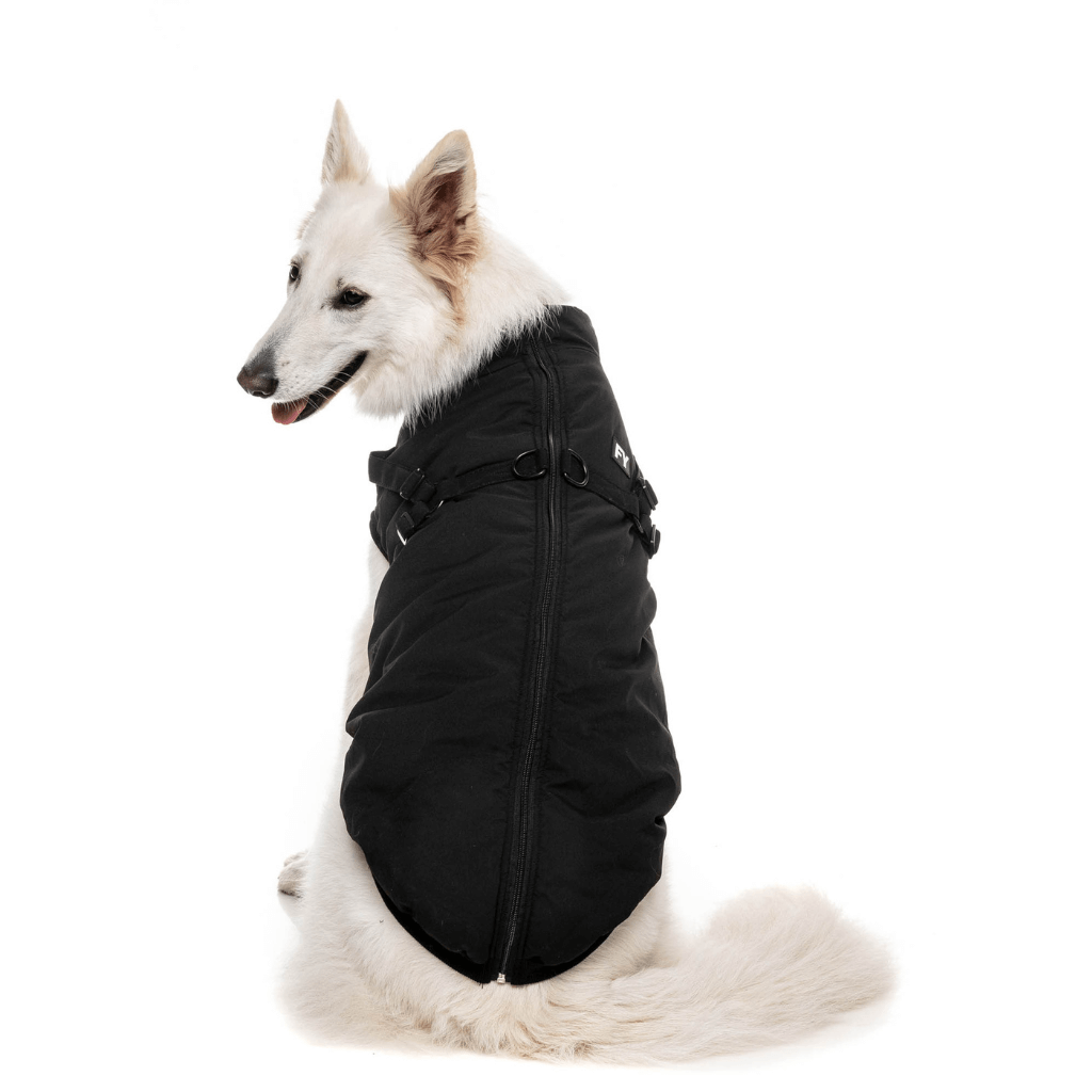 FuzzYard Jacke - Flash - Schwarz