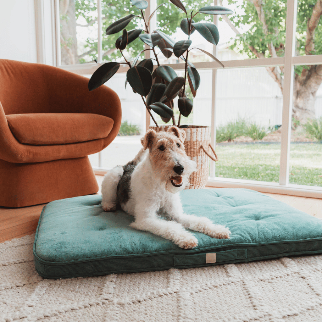 Colchón FuzzYard Life Myrtle Green - Cama para perros