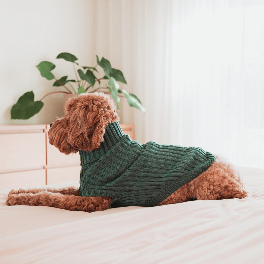 Myrtle Green - FuzzYard Life Strickpullover
