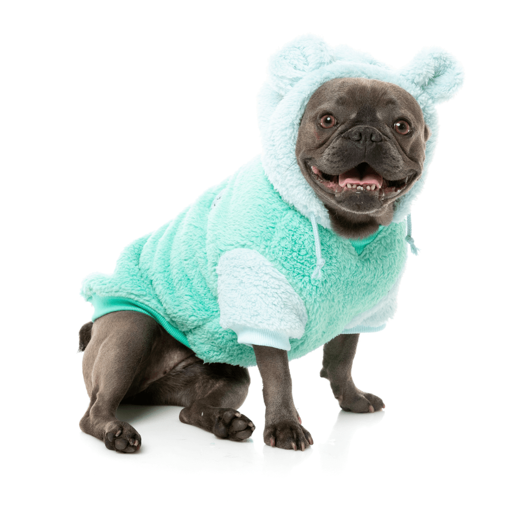 FuzzYard Hoodie - Winnie - Türkis