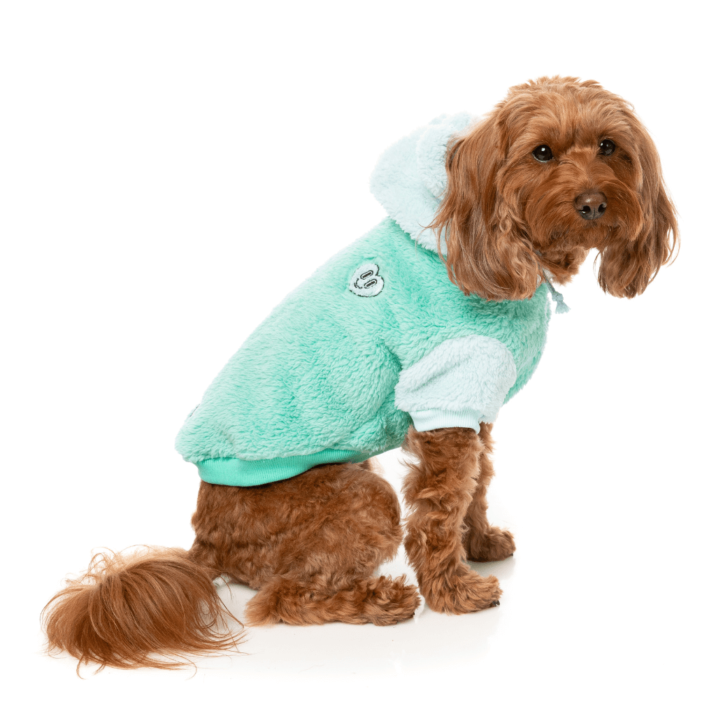 FuzzYard Hoodie - Winnie - Teal