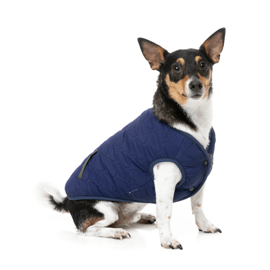FuzzYard Jacke - Nara - Dunkles Moos