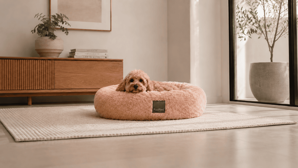 Betten von FuzzYard