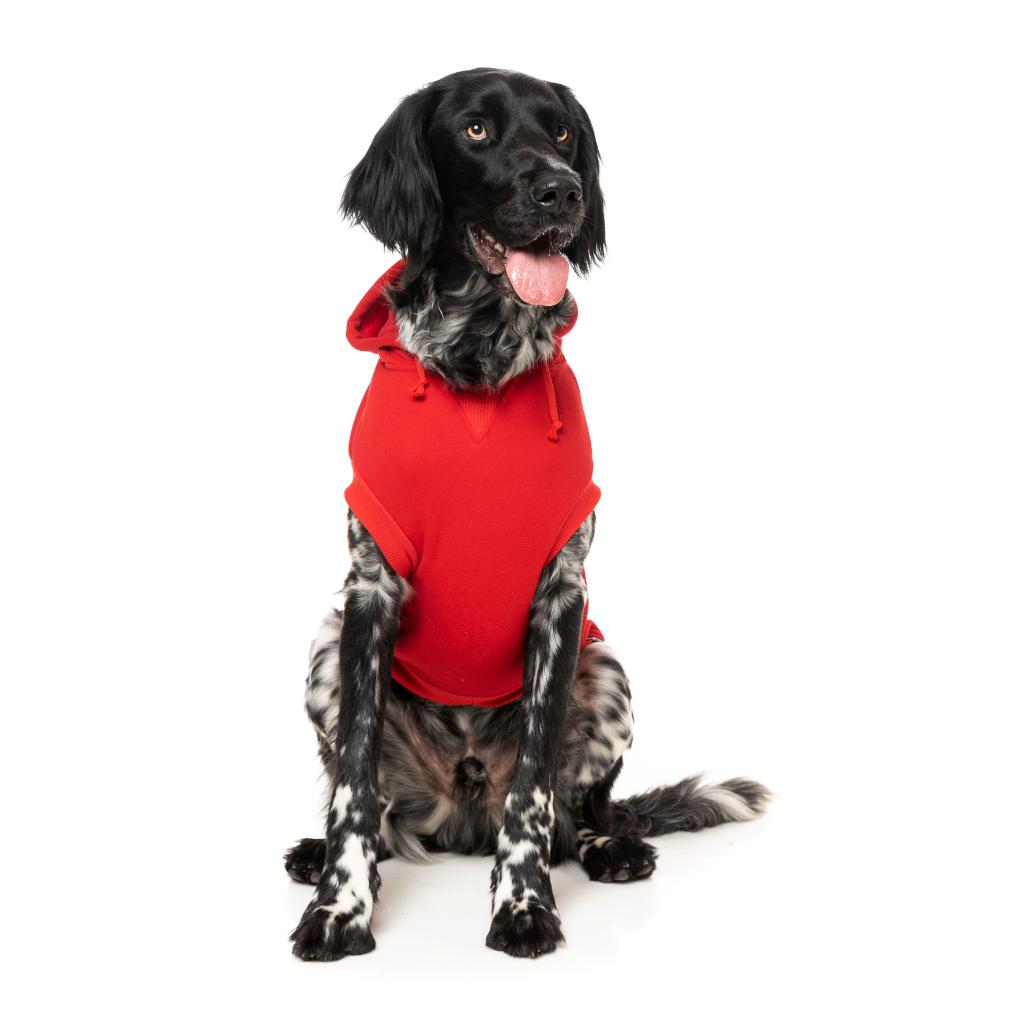Zoomies Hoodie Red