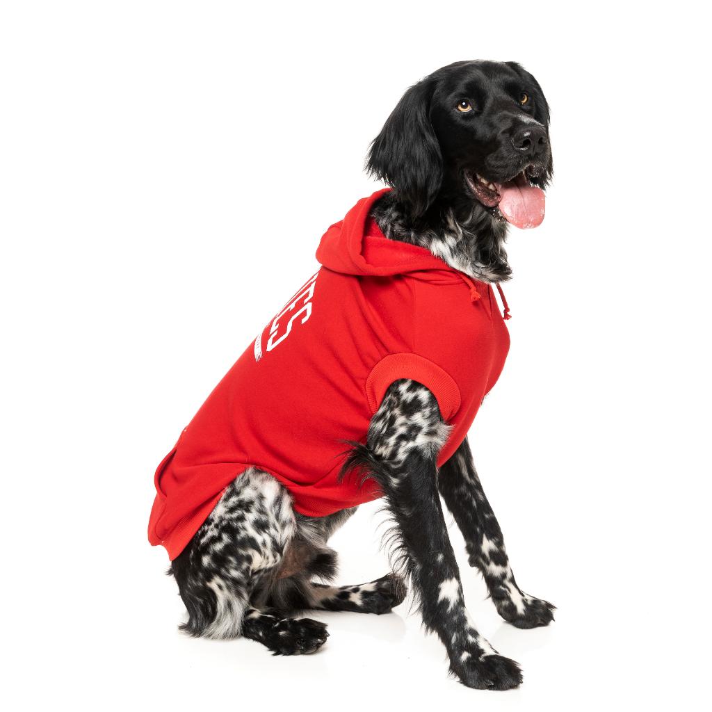 Zoomies Hoodie Red