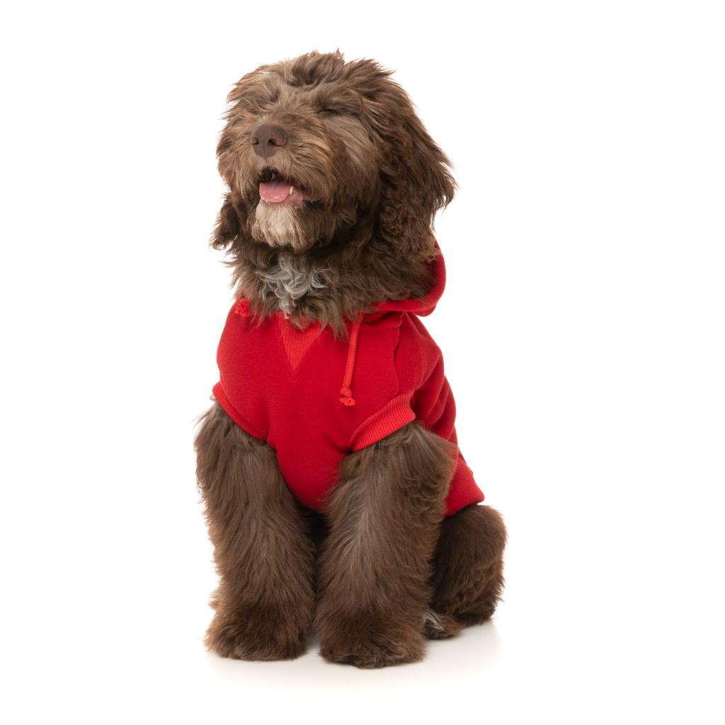 Zoomies Hoodie Red