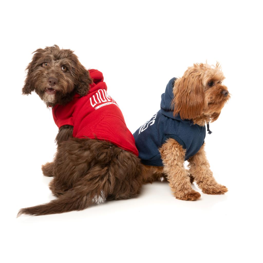 Zoomies Hoodie Red