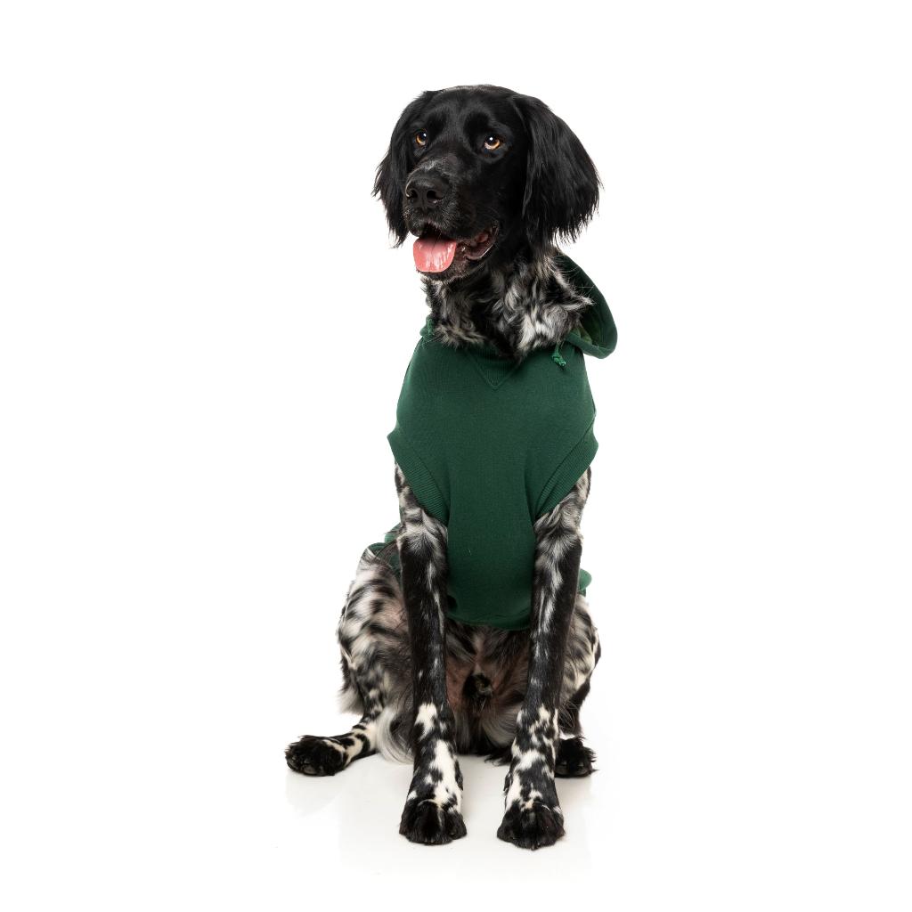 Treats Hoodie Green