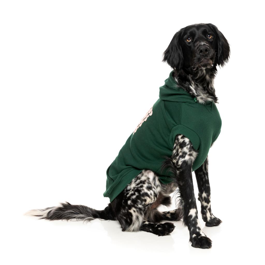 Treats Hoodie Green