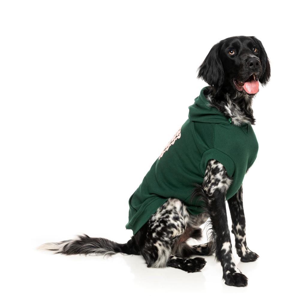 Treats Hoodie Green