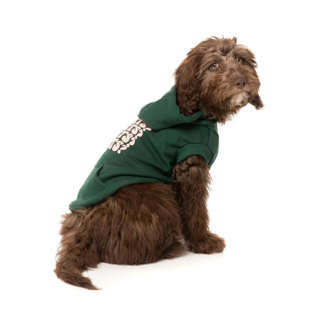 Treats Hoodie Green