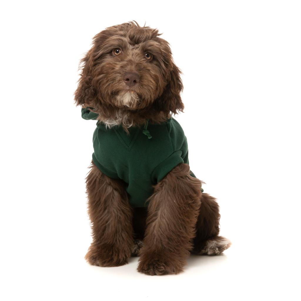 Treats Hoodie Green