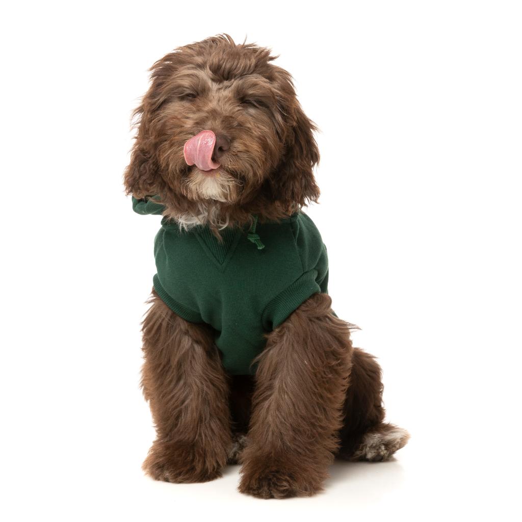 Treats Hoodie Green