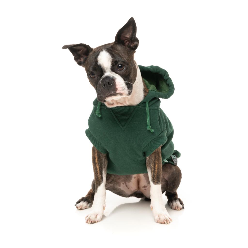 Treats Hoodie Green