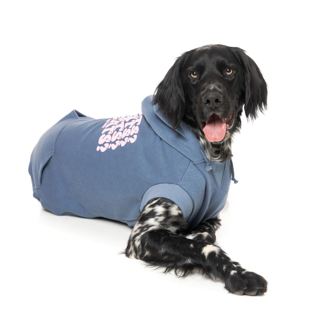 Treats Hoodie Blue