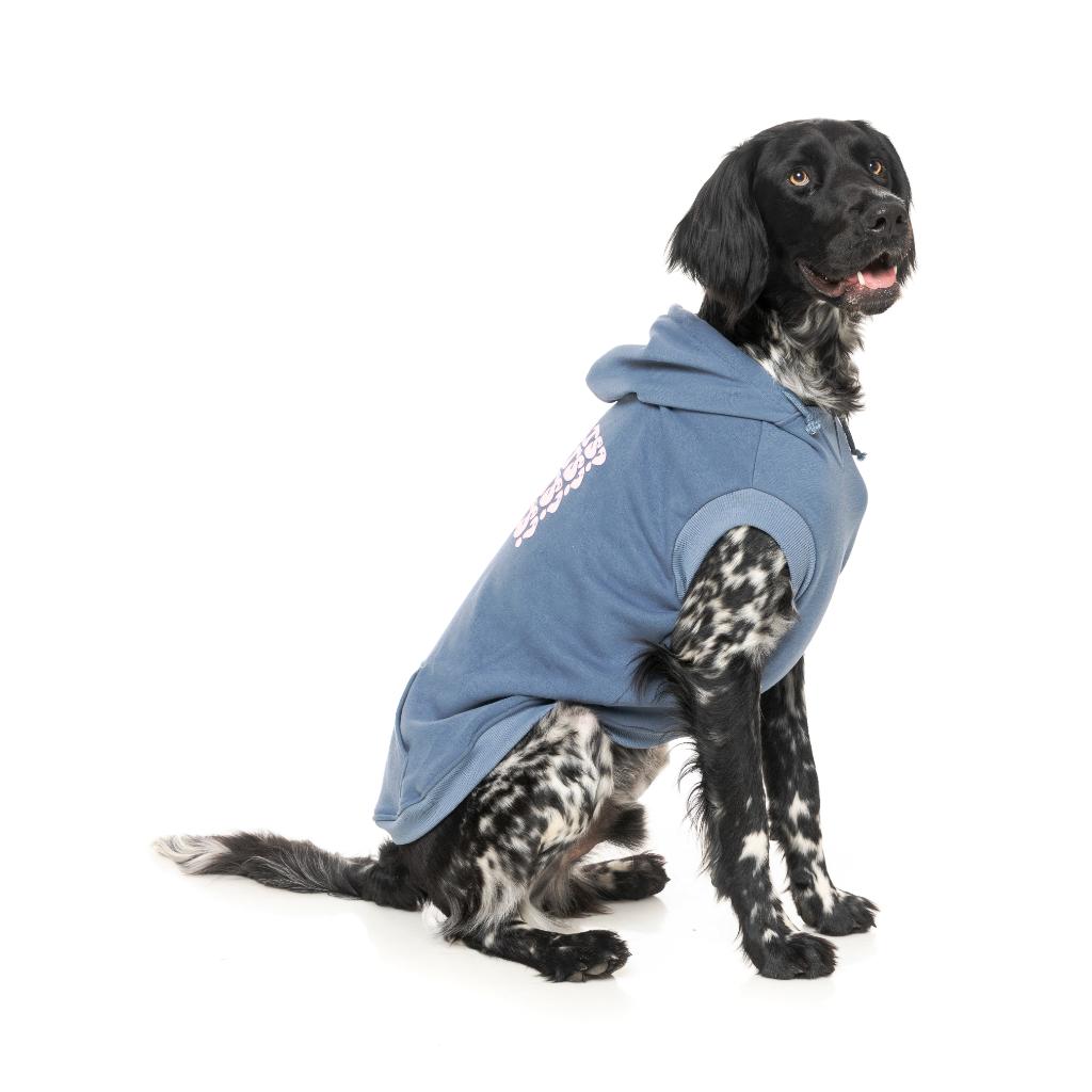Treats Hoodie Blue