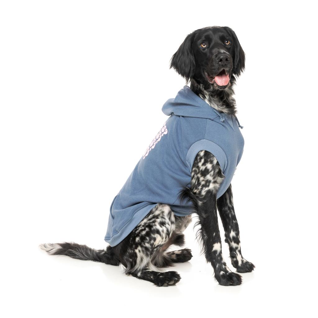 Treats Hoodie Blue