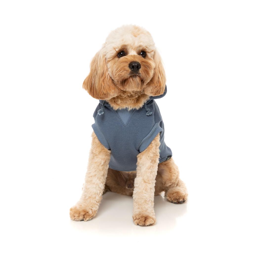 Treats Hoodie Blue