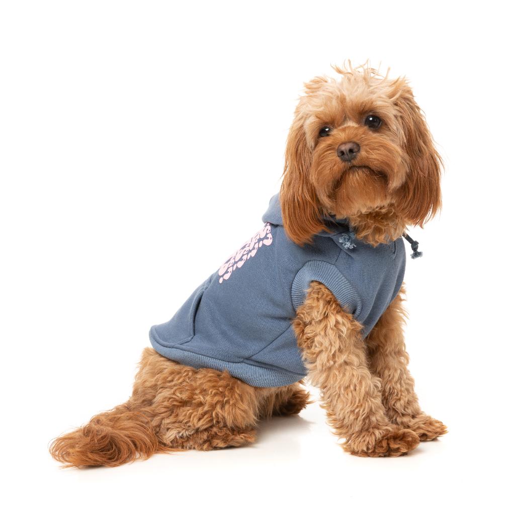 Treats Hoodie Blue