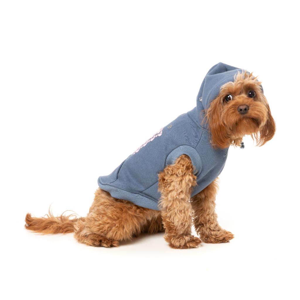 Treats Hoodie Blue
