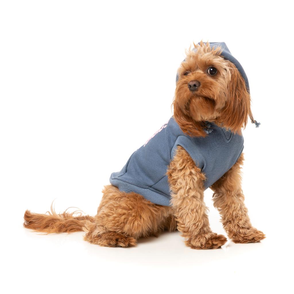 Treats Hoodie Blue