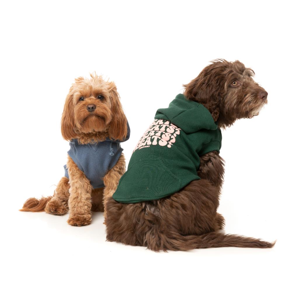 Treats Hoodie Blue