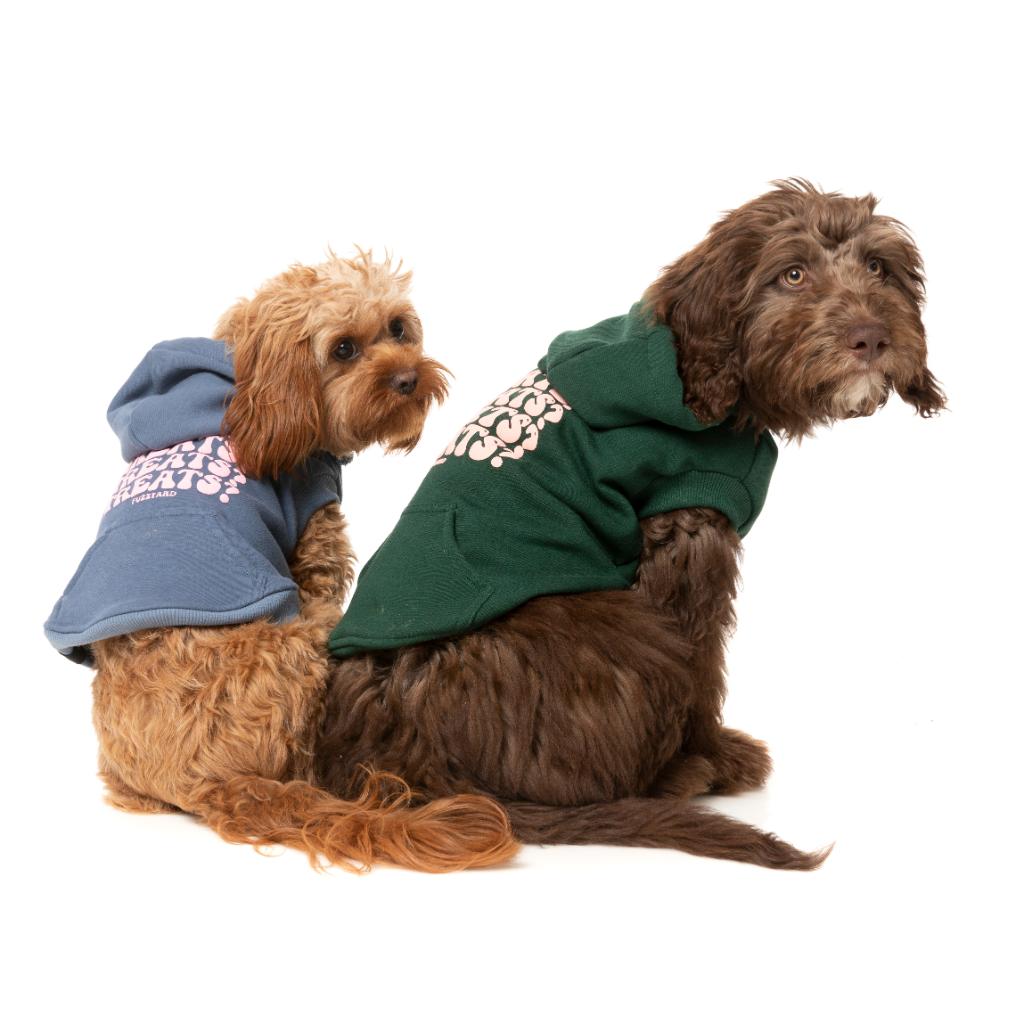 Treats Hoodie Blue
