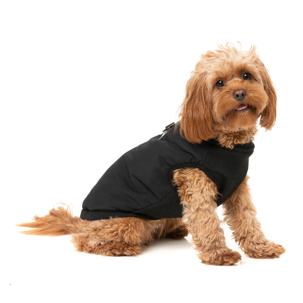 East Macgyver Jacke Schwarz